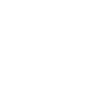 _0002_electrico_bco